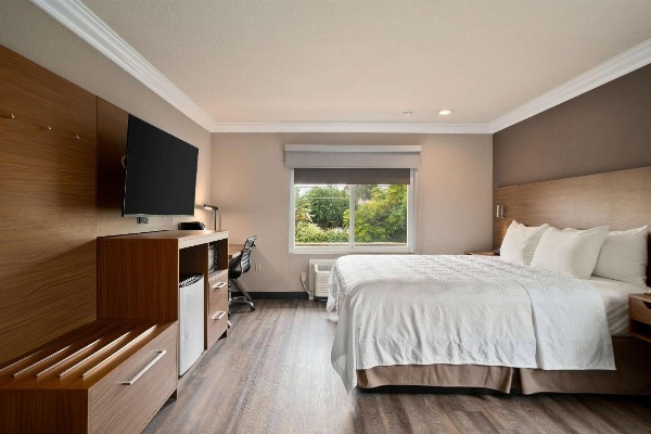 Best Western Plus Newport Mesa Inn image 6